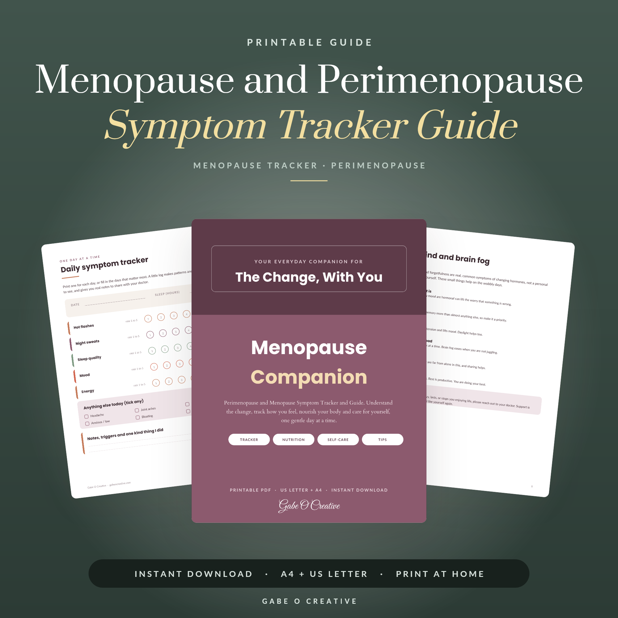 Menopause and Perimenopause Symptom Tracker Guide, Hormone Health Journal Printable, Hot Flash and Mood Log, Self Care Workbook PDF