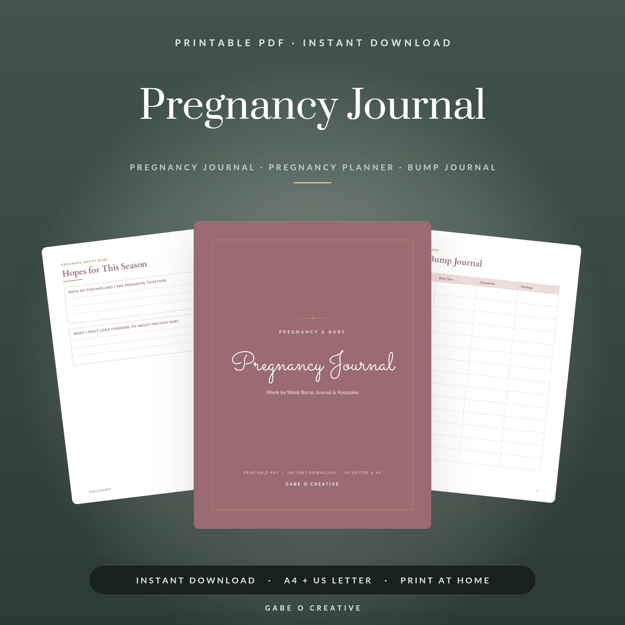 Pregnancy Journal
