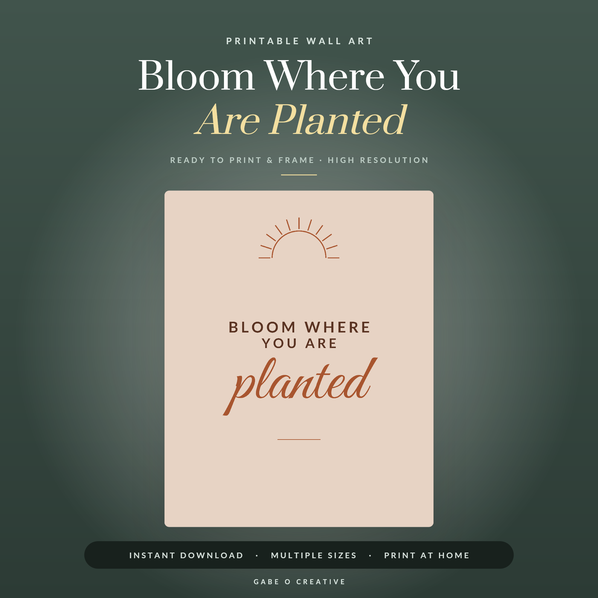 Bloom Where You Are Planted